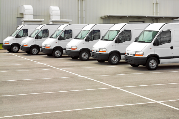 A fleet of white vans lined up in parking spaces