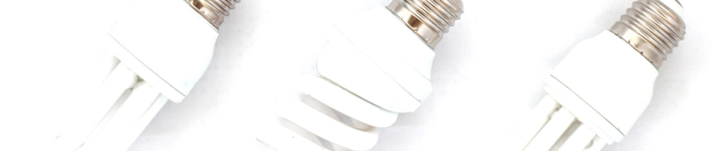 A row of energy-efficient lightbulbs laid down on a white background